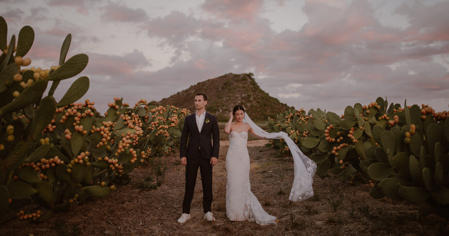 The Most Picturesque Wedding Venues in Cape