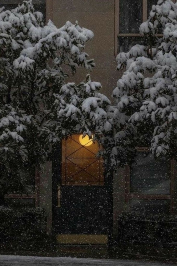 Как отметить новый год | Год кролика | Год кролика 2023 | Год кролика цвета | Что готовить новый год 2023 кролика | Год какого кролика