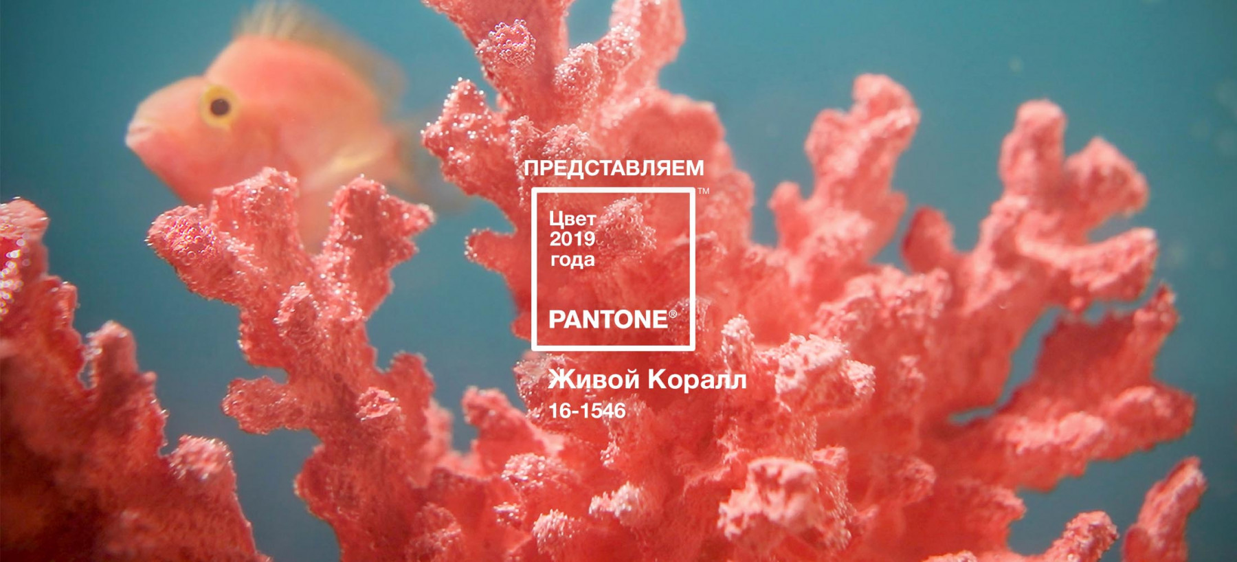9 свадебных трендов 2019, о которых вы
