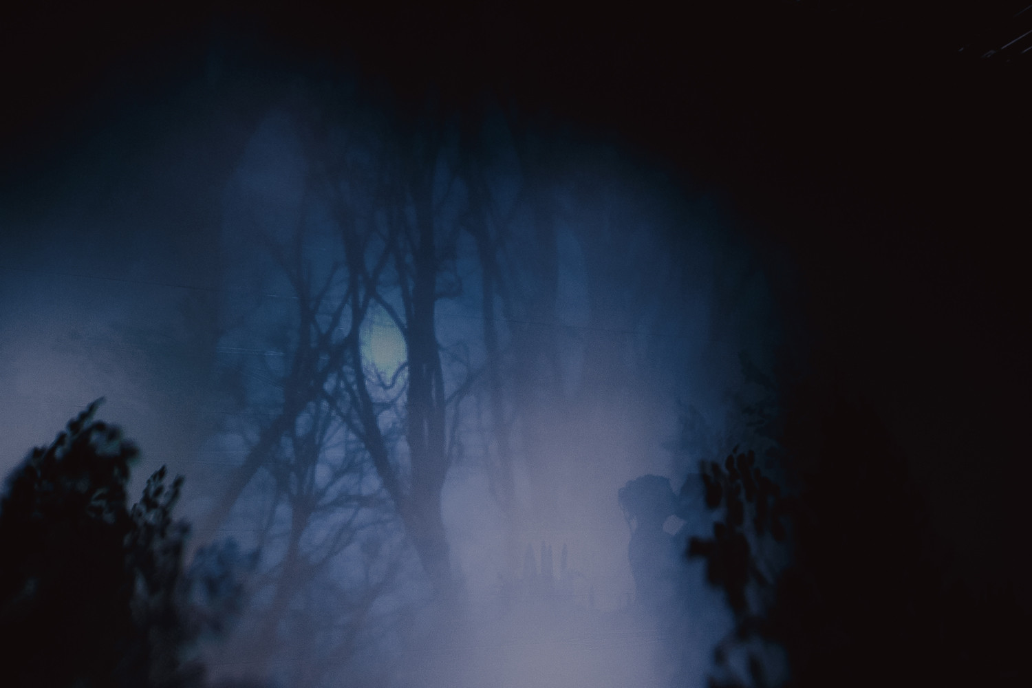 Midsummer night`s dream: свадьба в стиле фэнтези