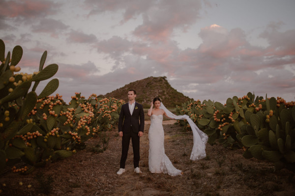 The Most Picturesque Wedding Venues in Cape