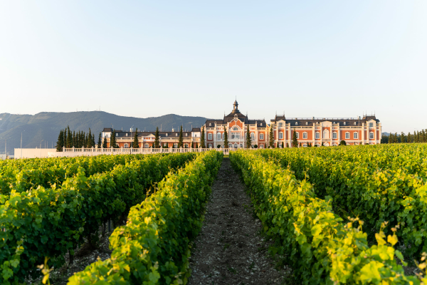 Площадки Château de Talu