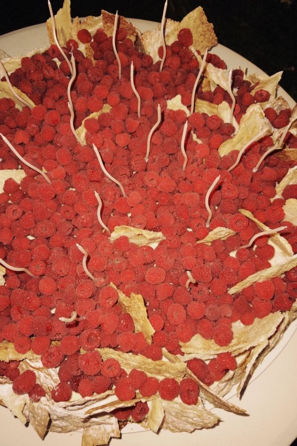 Свадебный десерт с малиной и кусочками безе на большом белом блюде, вид сверху