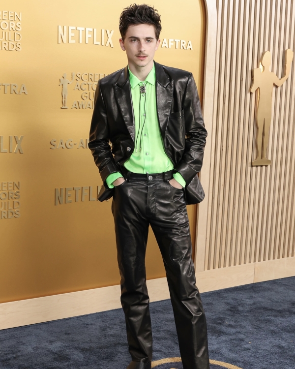 SAG Awards 2025: лучшие образы с красной