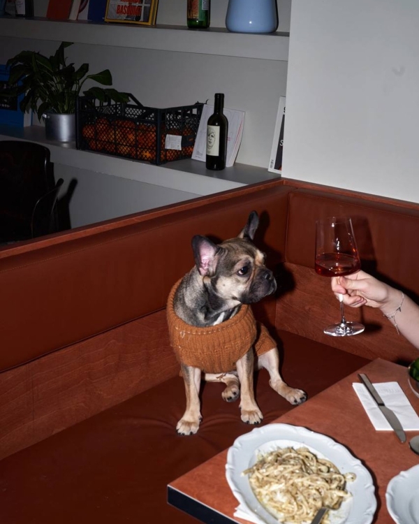 Dog-friendly Москва: 10 ресторанов где вашему питомцу