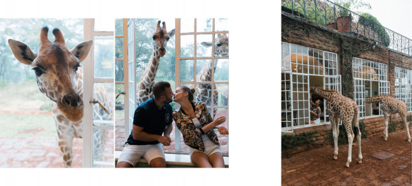 Медовый месяц в отеле Giraffe Manor