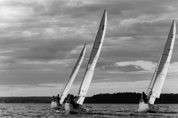 Как прошла регата TOP15MOSCOW x TENZOR SAILING