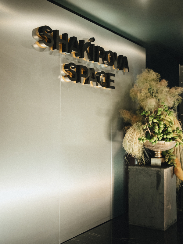 Площадки SHAKIROVA SPACE