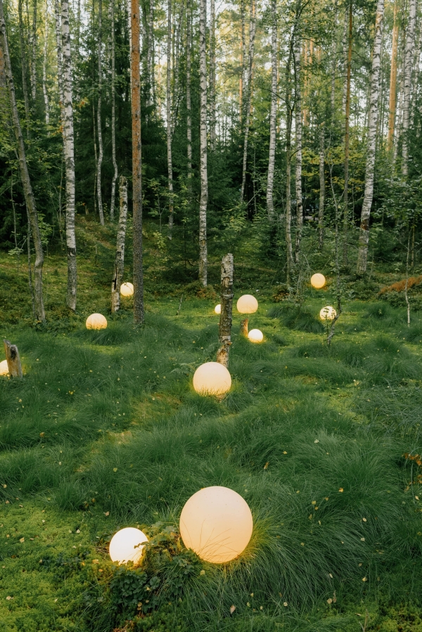 Площадки We Lodge