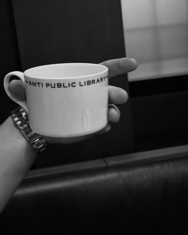 Парижский вайб в Anti Public Library, день